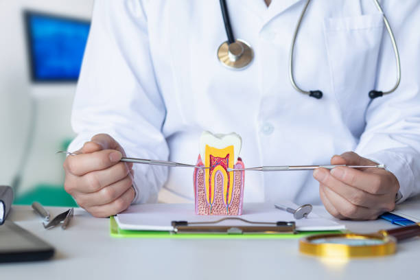 Best Emergency Broken Tooth Repair in Obion, TN